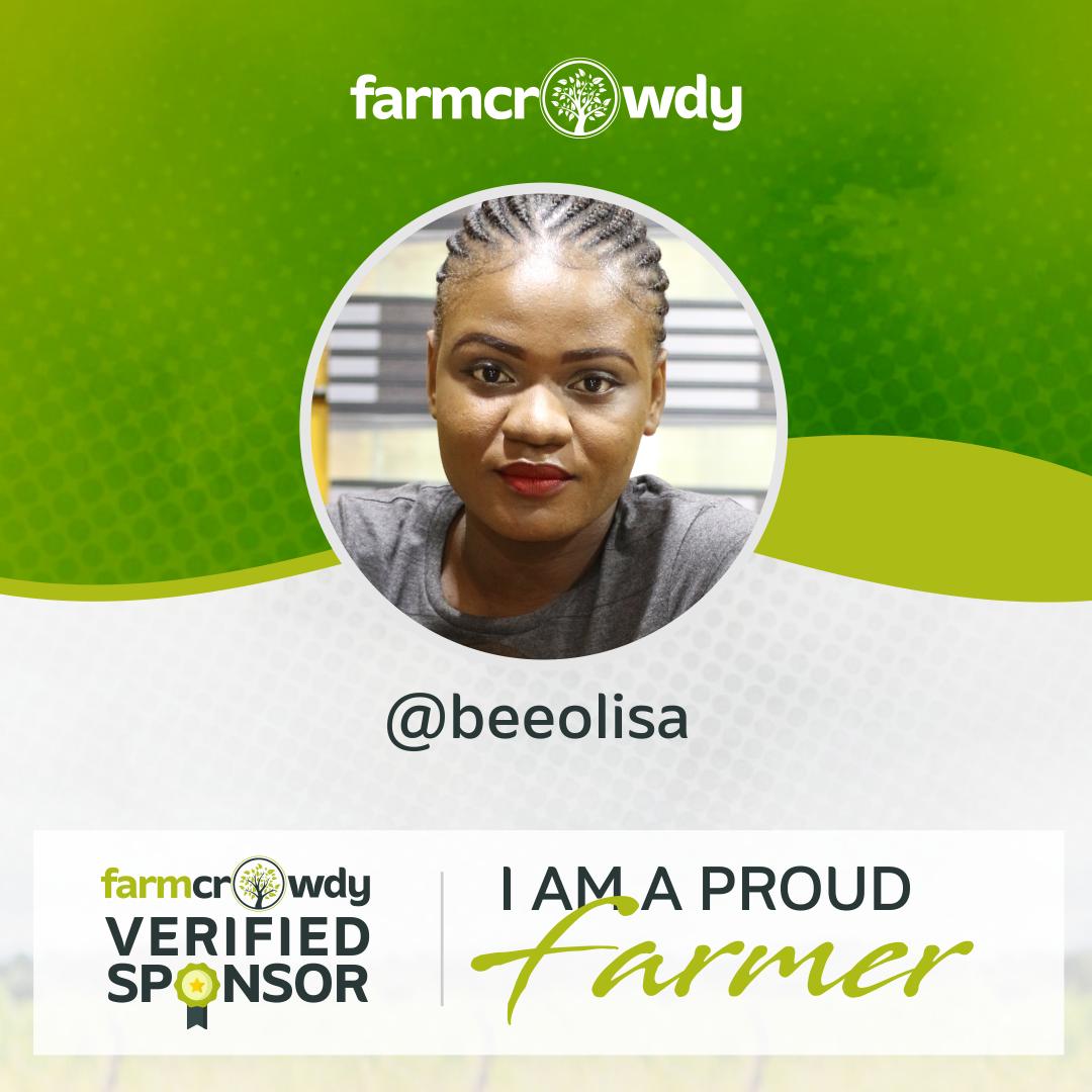 beeolisa's tweet image. No farmer, no food.
No food, no future.
No future, angry people everywhere.

#OwnAFarm today on @farmcrowdy  and join in empowering small holder farmers to improve food production in Nigeria. 👩‍🌾🚜🍛🍲
#EmpoweringFarmers