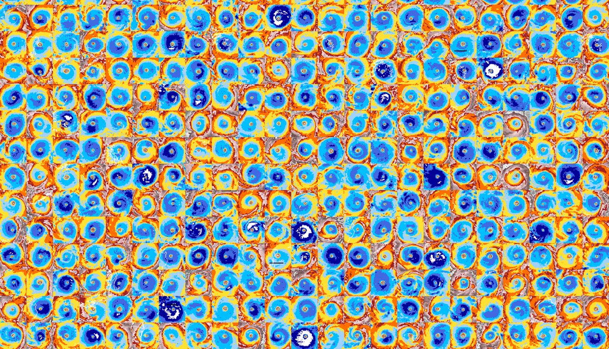 NOAANCEI's tweet image. How often do tropical cyclone eyes occur? Where do they occur most frequently? How does their size vary? A new climatology has the answers: bit.ly/TCeyeClim #ScienceNews