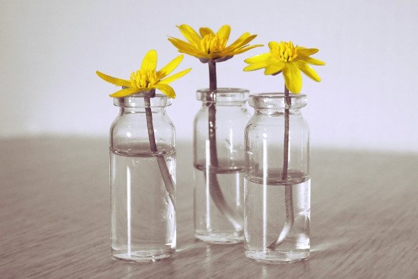 OPEN HOUSE TOMORROW! This Sunday: Blessing Lauren Into Sabbatical &amp; Baptism of Olivia - St. Matt's This Week <a href="/laurenahodgson/">Lauren Hodgson</a> - mailchi.mp/7c16959c5398/o…