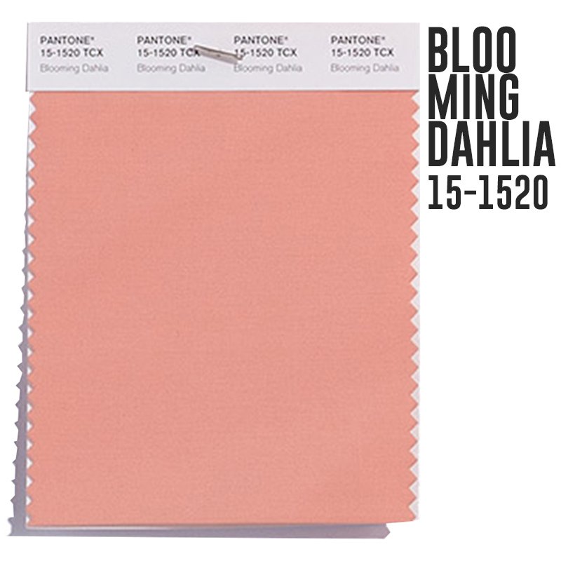 rusbousmx's tweet photo. ¡Hola chicas con #curvas! ¡Feliz viernes #trendy! 😊
REPORTE DE COLOR 2018: BLOOMING DAHLIA
Vuelve el color #Coral, pero con un toque más delicado, un tono discreto pero muy femenino y atractivo. #colorreport2018 #viernestrendy #verano2018 #pantone2018 https://t.co/JO3R7PewB3