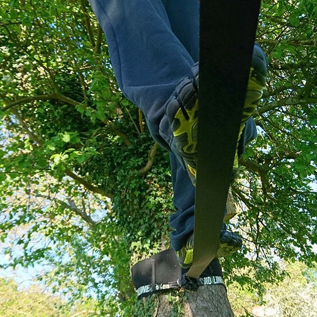 eXperienceyourp's tweet photo. #slackline rulez
#expyp #experienceyourbootcamp #experienceyourpower #slackliner #fitness #fitnessmotivation #fitnesstrainer #personaltrainer #kaischultka #kai #slacken #slack #outdoor #natur #tree #wiese #bäume #sport #trendsport #trend #slacker #slacking https://t.co/HwAjGraosZ
