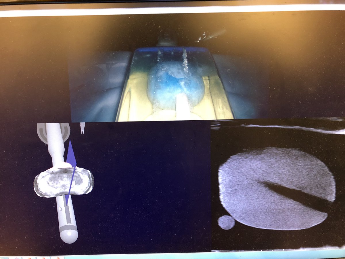 UBC Media Relations tweet media