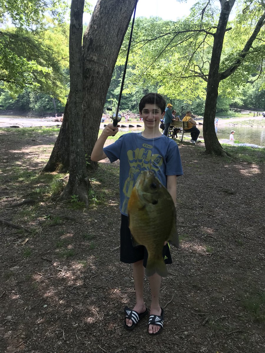 Bonnie K. tweet media