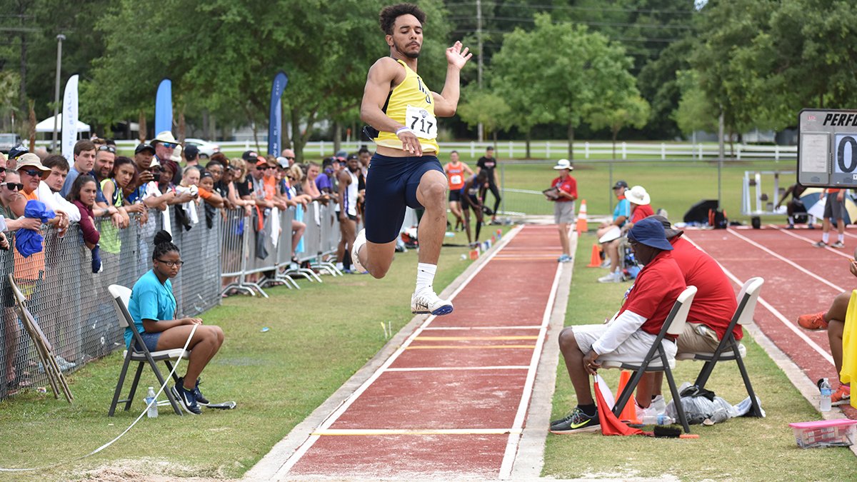 Marian Knights tweet media