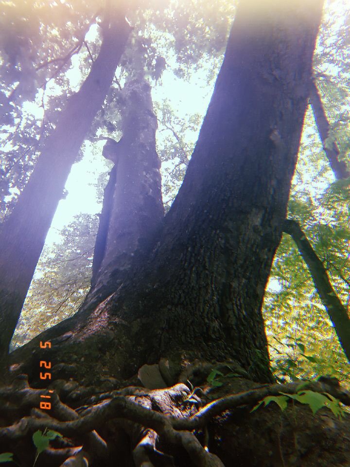 CRSD_RMS tweet media