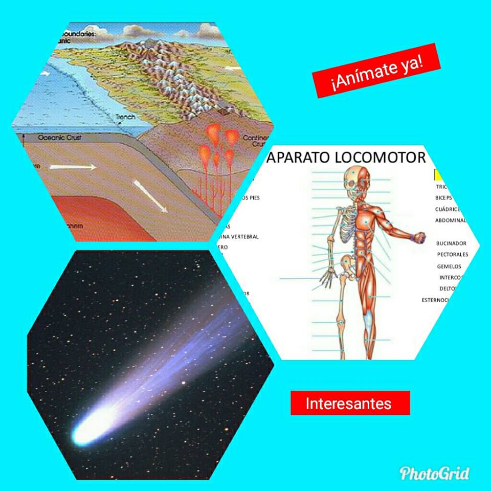 Librodigital12's tweet image. Nuevos temas disponibles, como 
¿Qué son los cometas?,
¿Qué es el aparato locomotor?,
¿Qué es una placa tectónica?