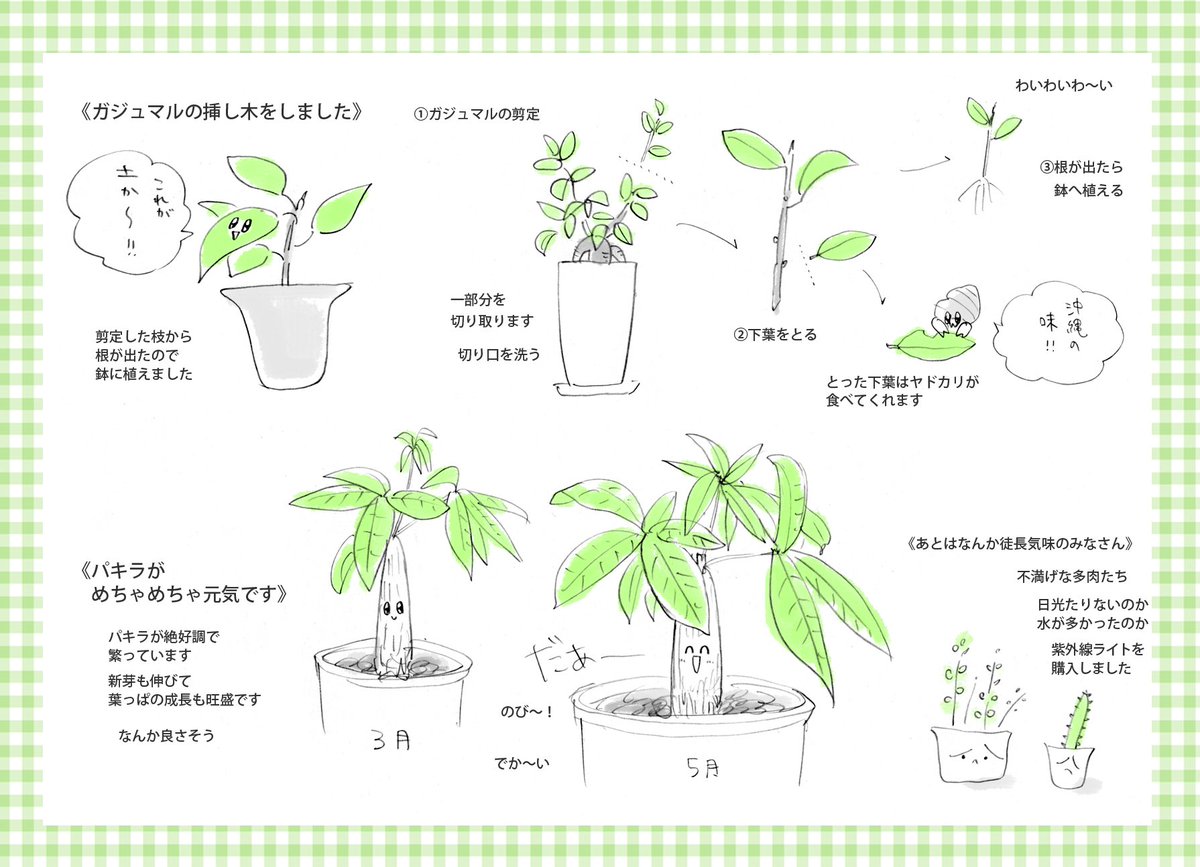 ぴょんぬりガーデンの5月 