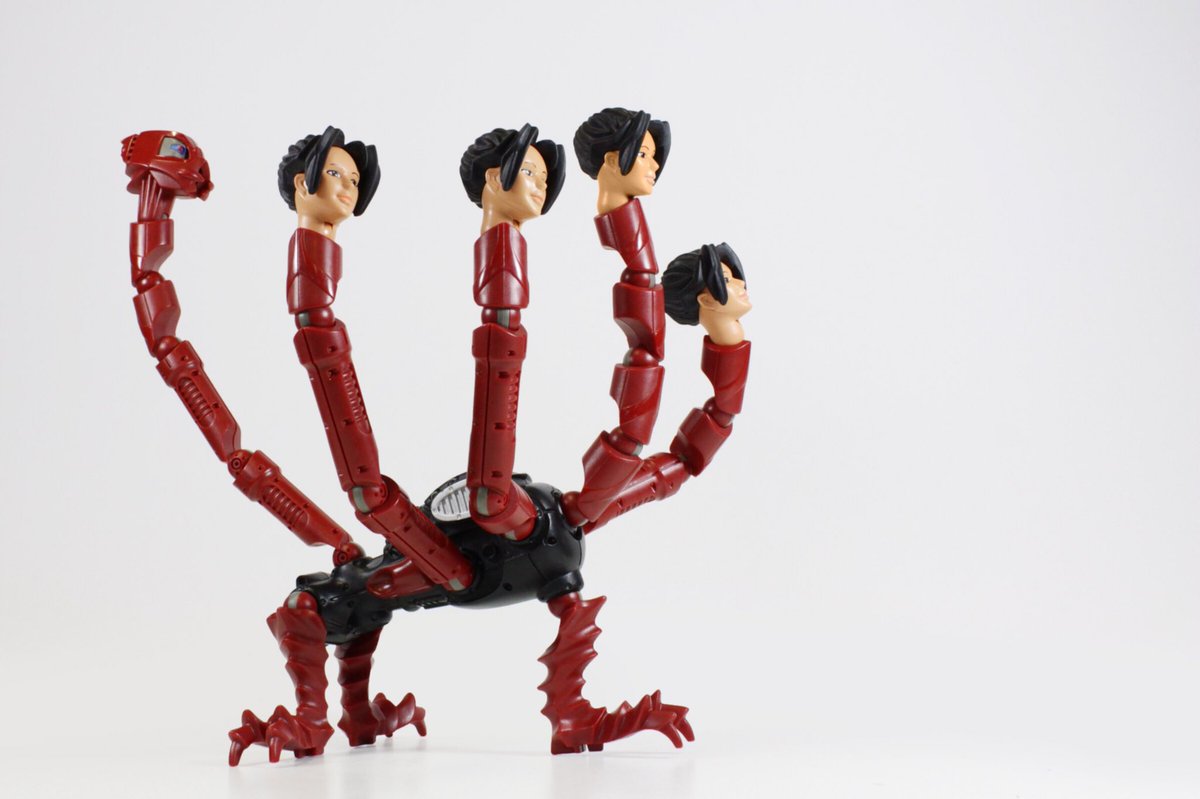 True glinching beauty belongs to the Eye of the Beholder, but few scholars in #Galidor would dispute that Sawayadons are near to perfection.