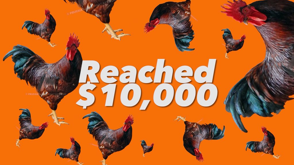 thecocksnotdoc's tweet photo. Woo! Thanks so much to everyone whose donated thus far!!! We are so close to our goal of 15K! Donate and share!! https://t.co/AcrznFYFUA https://t.co/Qp71hdXNzU