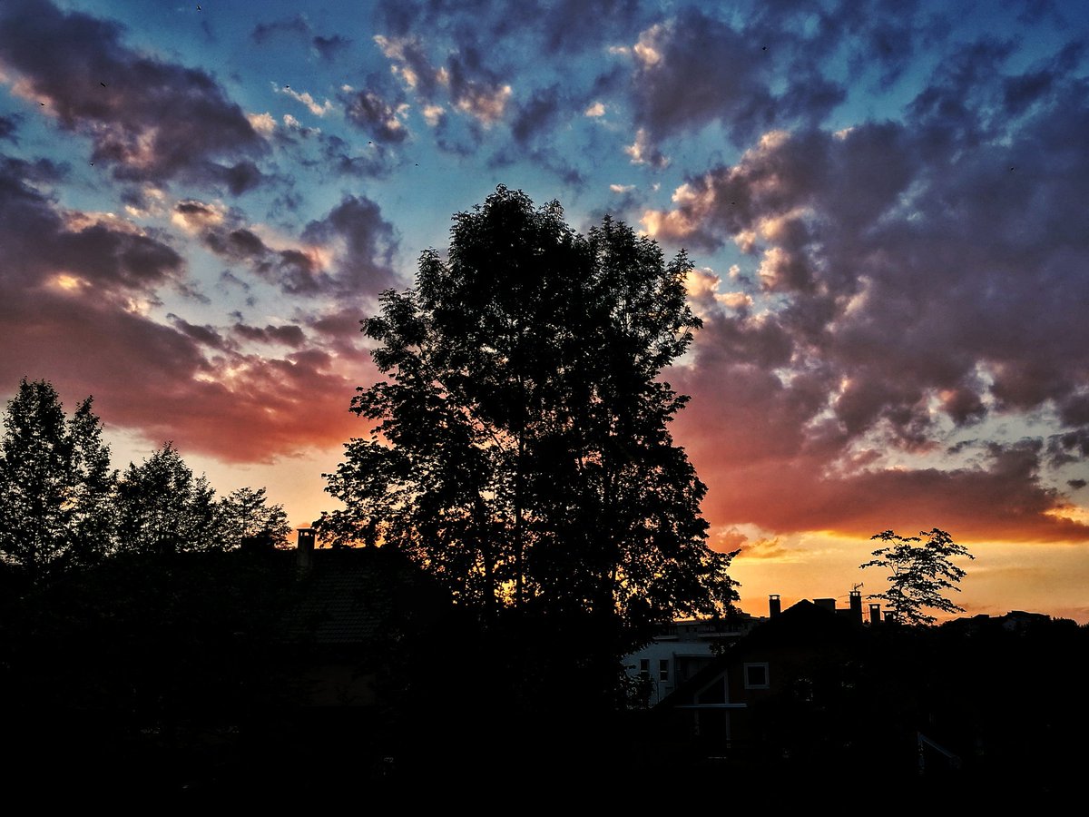 Le Tech Lead tweet media