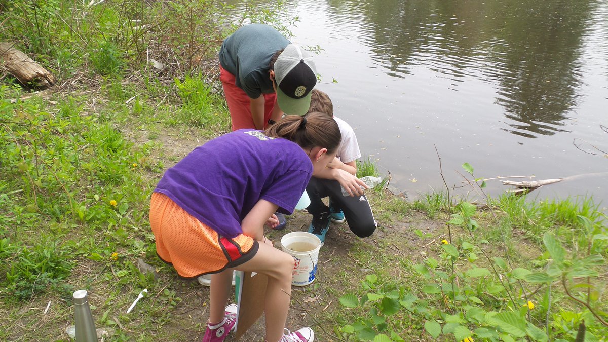 morgancuthbert's tweet photo. Ss using a biotic index to determine the healthiness of our local Royal River. Get out and into nature on a hot day! Do Science! @MAINETOY @YarmouthHMS @Milken #ConnectC2C https://t.co/uAuBBzM9Mg