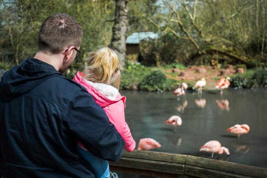 Twycross Zoo on Twitter "To celebrate the NHS turning 70 and the