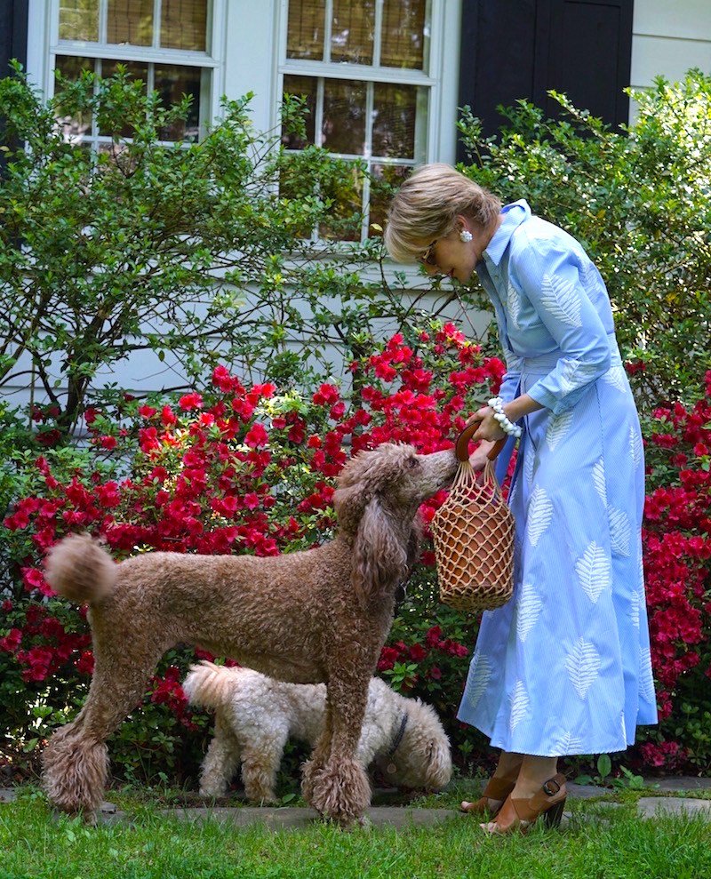 stylenudge's tweet image. Saddle Up stylenudge.com/saddle-up/