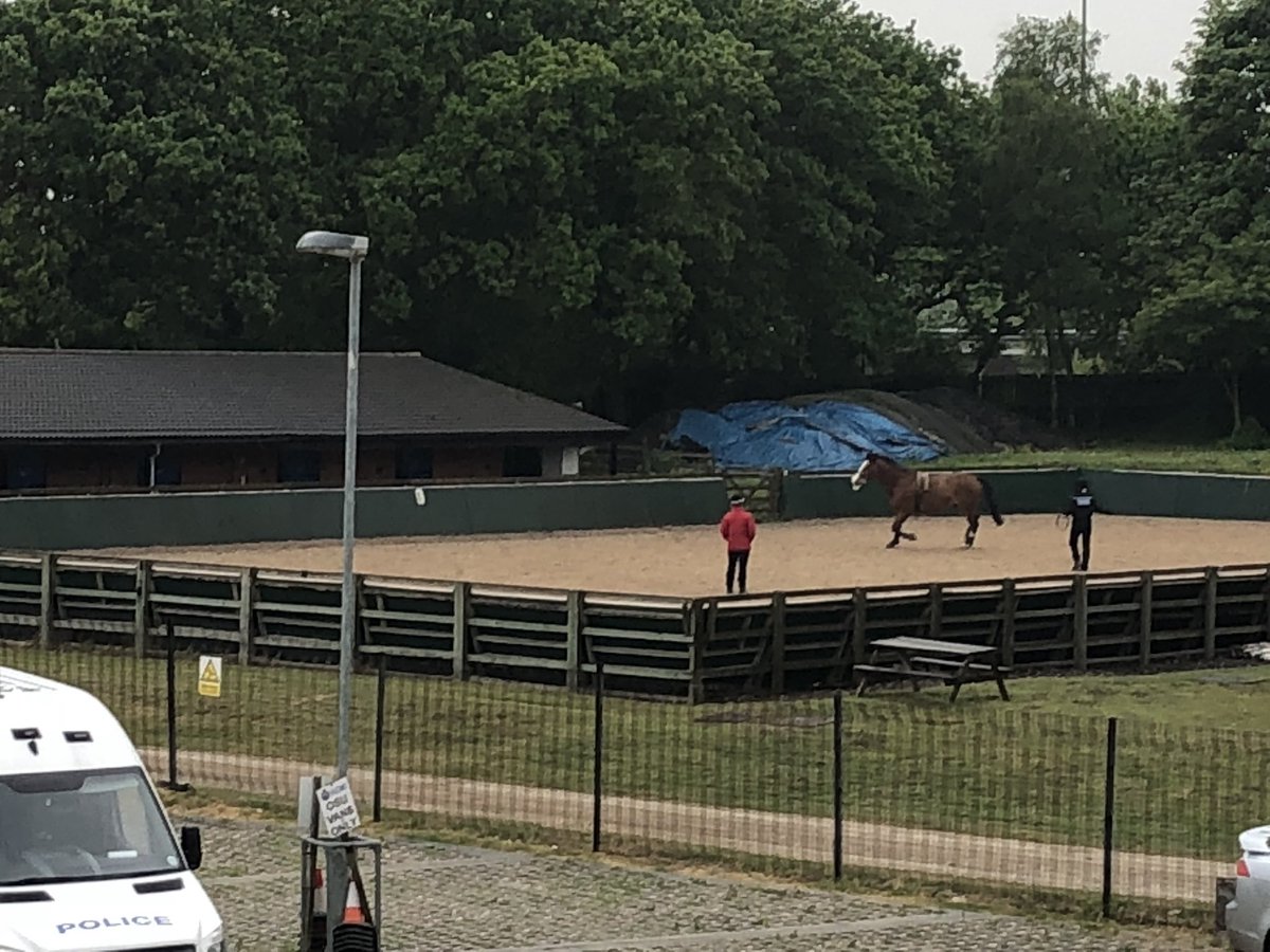 wyp_twilkins's tweet image. First day at Protective Services Ops, throughly enjoyed it and love the view from my new office 😊 #lotstolearn #newchallenge