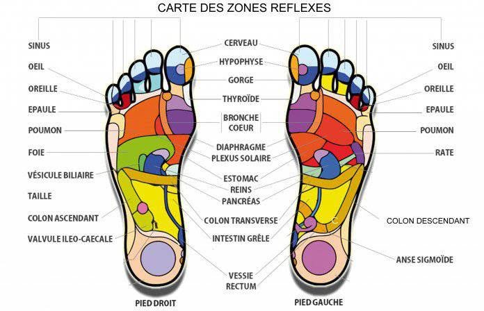 Vins_Simonnet1's tweet photo. Voilà pourquoi il est conseillé de se masser les pieds https://t.co/jbvwqG1uiN