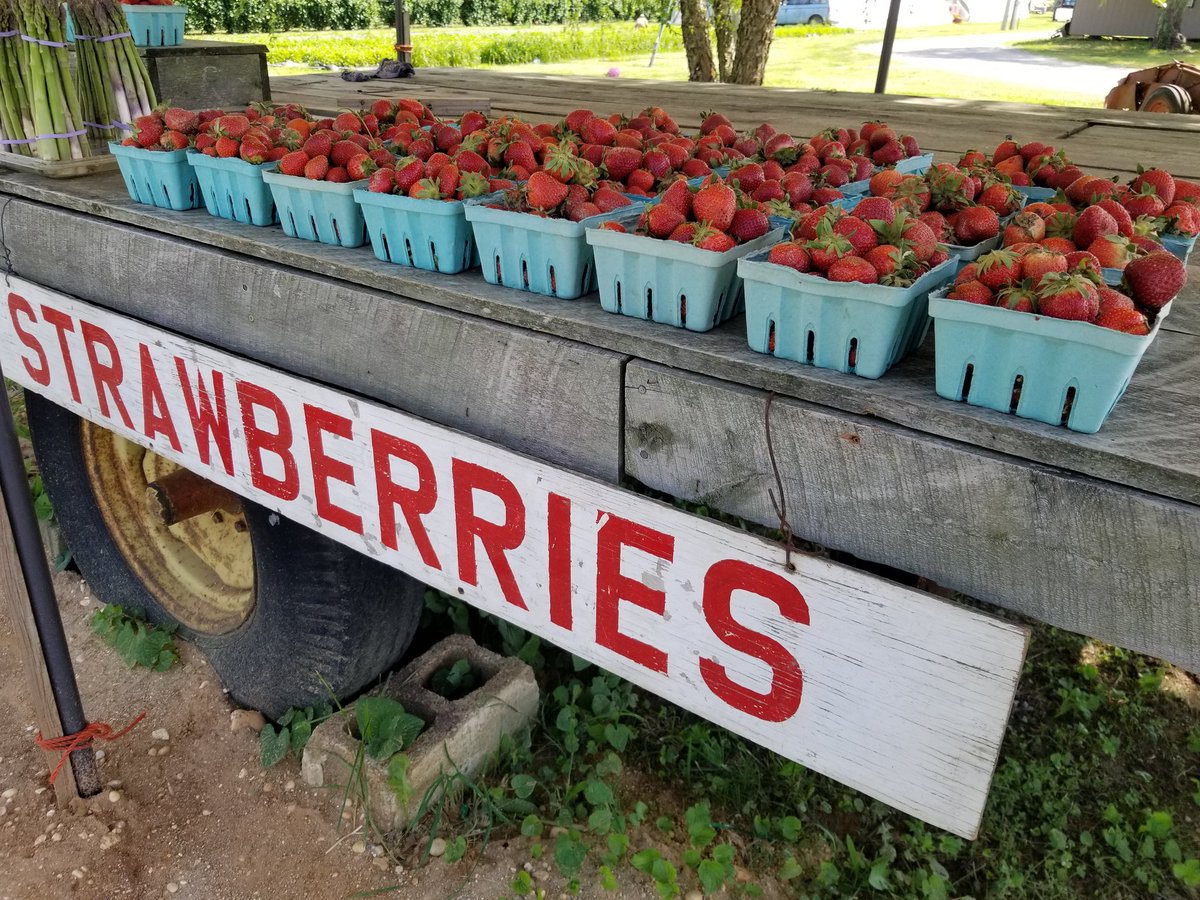 cherrylanefarms's tweet photo. Fresh Strawberries are here for Memorial Day wkend! So stop on by @UnSqGreenmarket tomorrow while they last:^) https://t.co/iG5MvsbBZL
