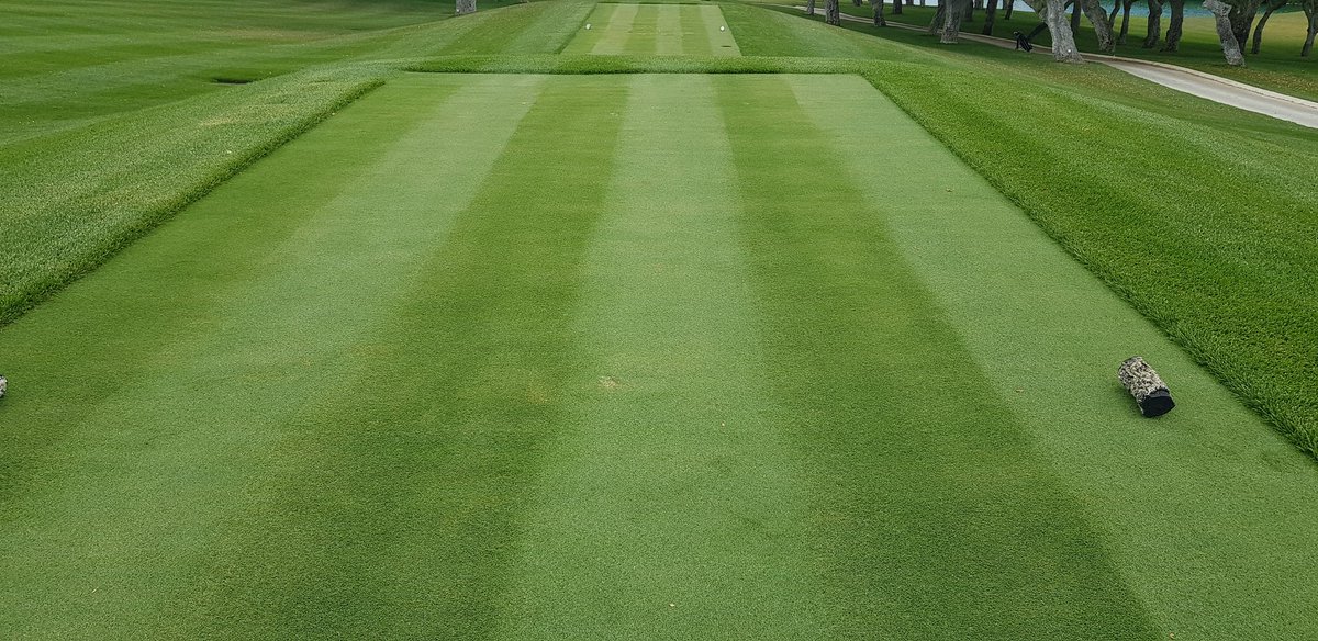 AgronomyRCV's tweet photo. Bonita tarde con los alumnos de @golfgestion. Un placer ser partícipe en la enseñanza de actuales y futuros #greenkeepers.
@ibtaboas https://t.co/wDVPsdRPp5