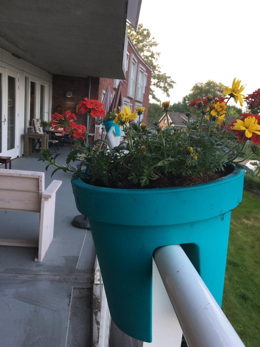 Bij Veldheem staan er weer vrolijke bloemen in de potten en zijn sommige huiskamers weer wat schoner.