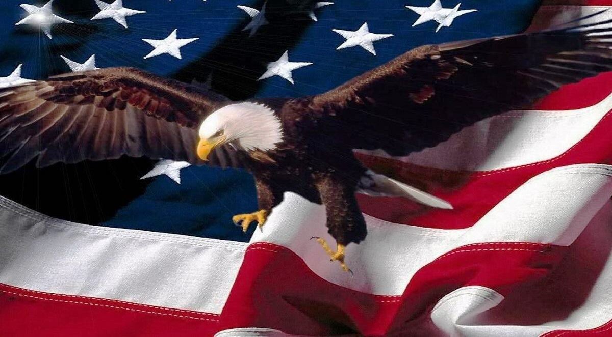 theBoonBin's tweet photo. In memory of many. In honor of all, Thank you!! 🇺🇸 
#HappyMemorialDayWeekend from https://t.co/ViGAzPrwlf https://t.co/GM6KG7Cd6q