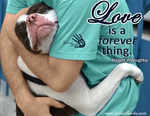 LinkedSouls's tweet image. Love is a forever thing.