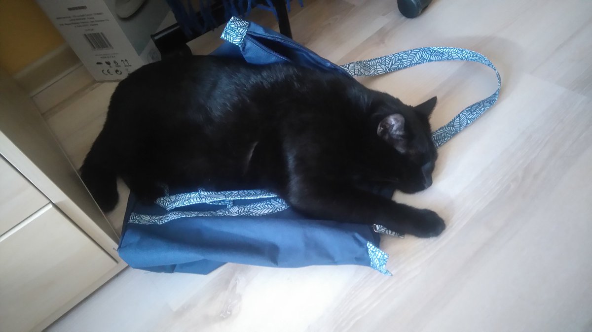 Aurelieax's tweet image. Spakowalam się na wyjazd #mójkot