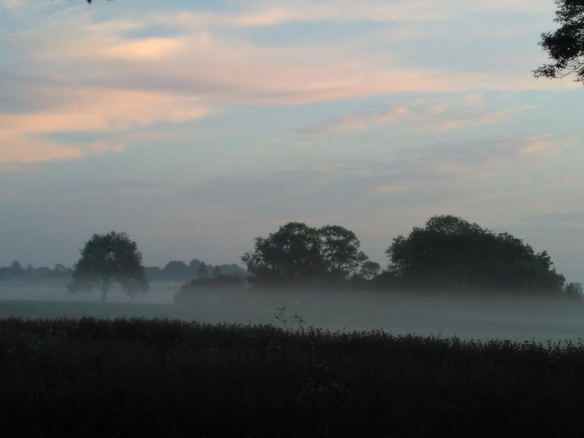 EcofriendlyAmy's tweet photo. I think the mist is coming in, lovely evening, really atmospheric.
Lovely to watch as I'm working on the pc.
Had to nip out though & have a proper look.
#misty
#atmospheric
#amazingtowatch https://t.co/deVjsEolyL