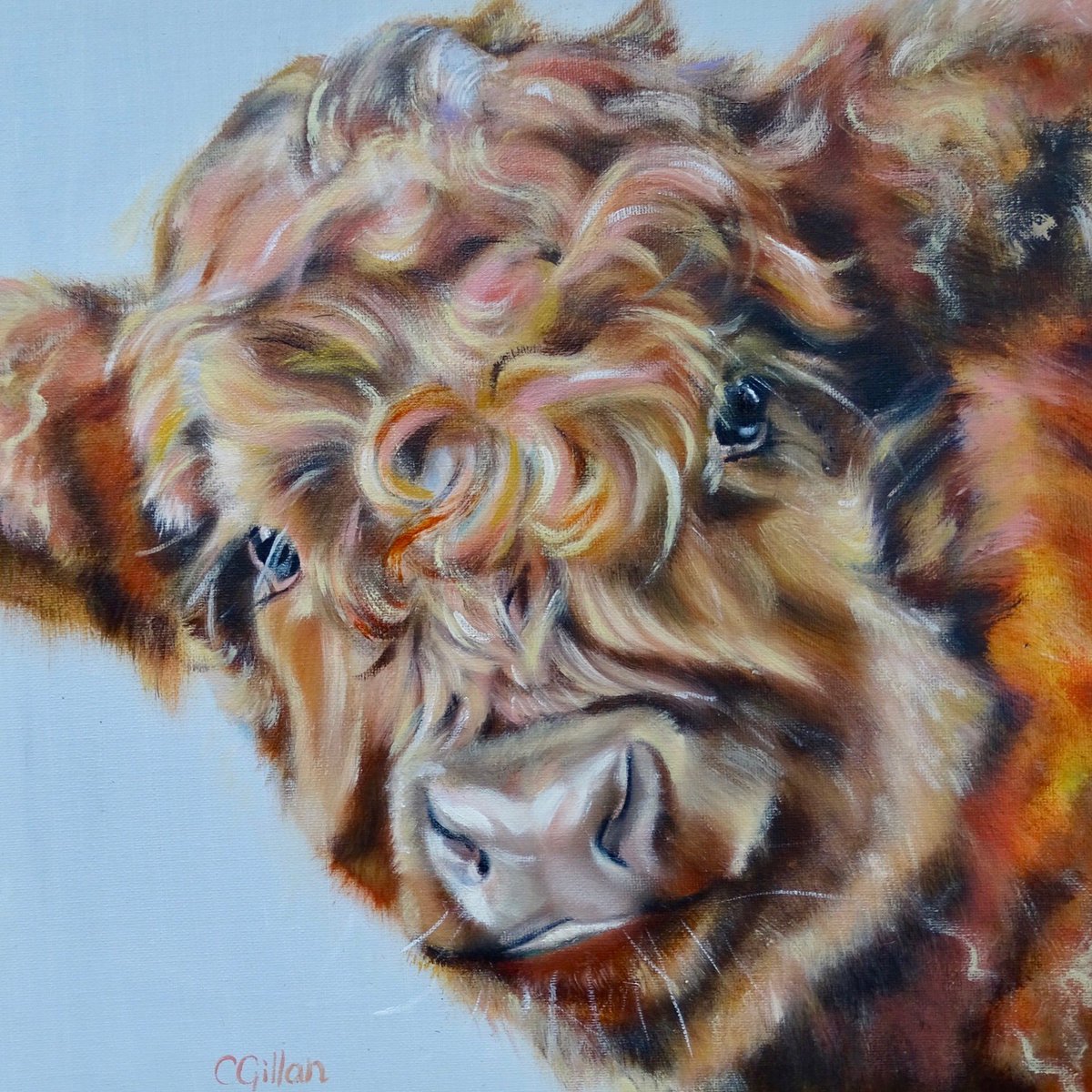 carol_gillan's tweet photo. Late, late, late! Posting for #colour_collective #gamboge (flash of)
Enq @creativefineart 
#highlands #heiffer #cow #coo #farm #farmlife #original #art #gallery #licensing #surrey #sussex 
Photo with thanks to @riuttahighland 🤗 https://t.co/LeenZoq7Ci