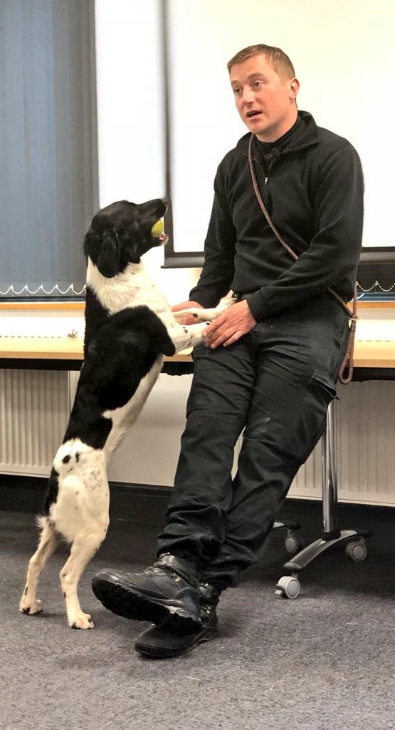 NYP_Training's tweet photo. Today our student officers had inputs from @NYPFirearmsUnit and @NYPDogSection. The students learnt about the different specialisms within each section and how they are utilised across @NYorksPolice. #passion #enthusiasim #Policedogs #learning #lovemyjob #PDThor #PDMeg https://t.co/7tB7Auyufo