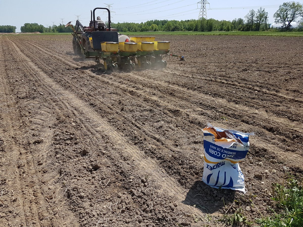 henryprinzen's tweet photo. Beautiful day for a @Maizex corn plot with County Ag near Dundas! #ProgressivelyForward #Plant18 https://t.co/qBMN9SyrD1