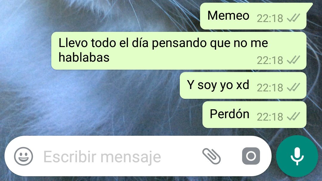 abluguitar9's tweet photo. Esto me pasa más veces de las que podría considerar algo normal xd https://t.co/IJb8kK3ezi