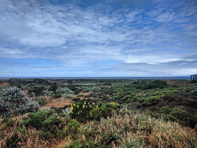 Slicehawk's tweet image. Lunch walk. #lablyfe #symmetry #datbay ift.tt/2GQRH2U