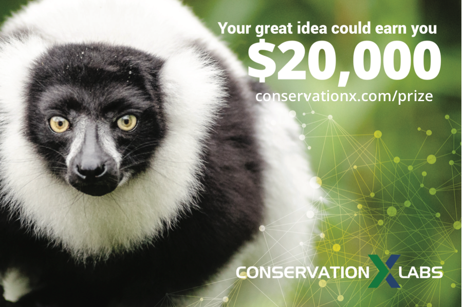 conservationx's tweet photo. We’re excited to launch the #ConXTechPrize, giving away $90,000 in prizes to revolutionary new ideas in conservation! Got a great idea? We’re ready to fund them. Deadline is June 30, so apply now: https://t.co/Poyc3UO6me https://t.co/W22j3Fqv1a