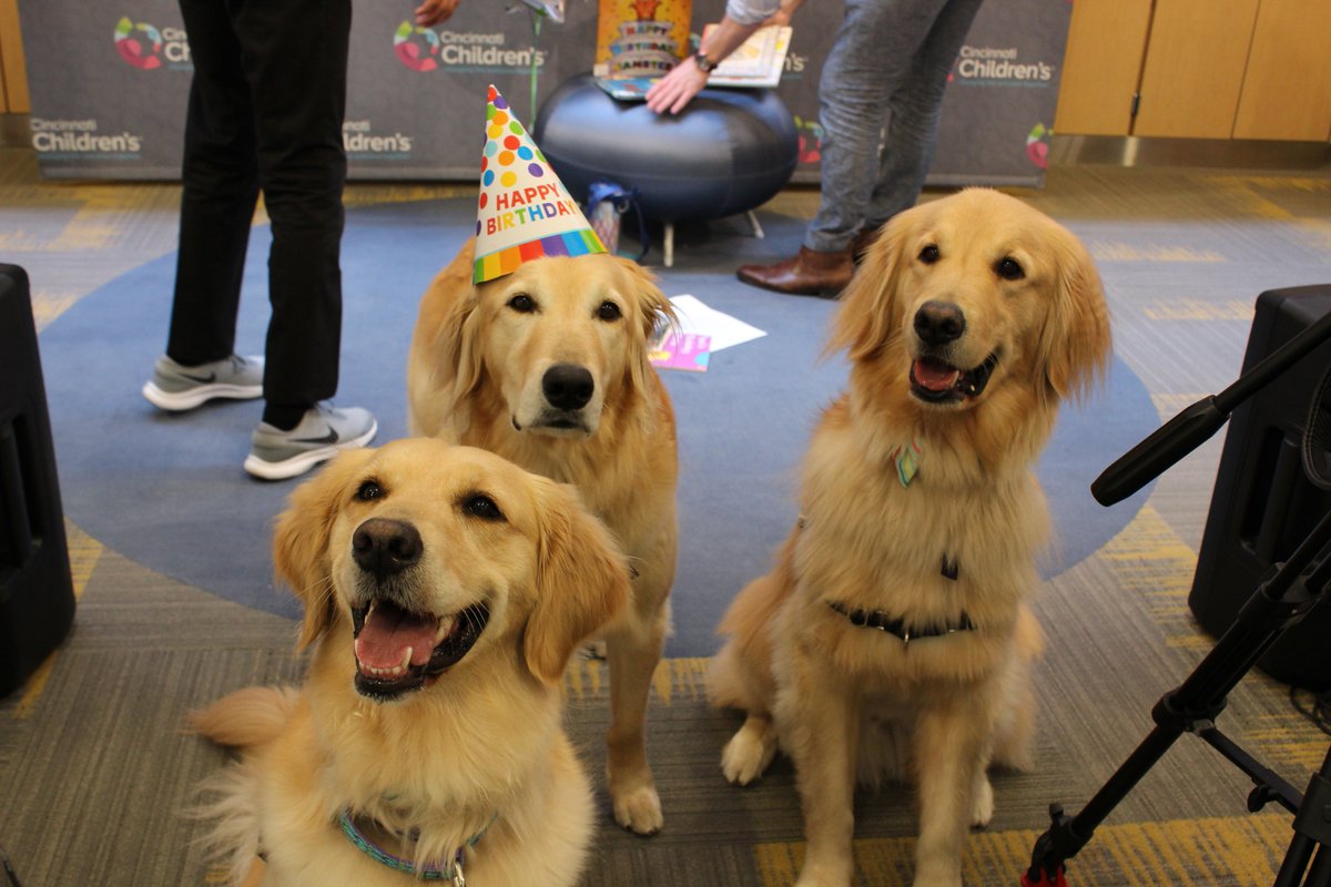 Cincinnati Childrens On Twitter Our Facility Dog Chevy Turns 4 Years Old Today He Celebrated With Some Of His Staff And Facility Dog Friends At Wkid33 On Wednesday Chevy Got Was Spoiled