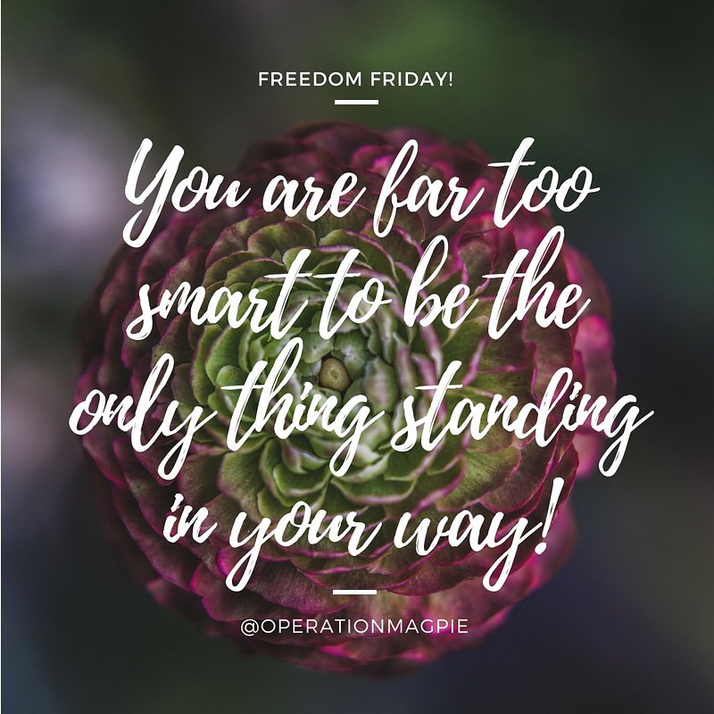 OperationMagpie's tweet image. 