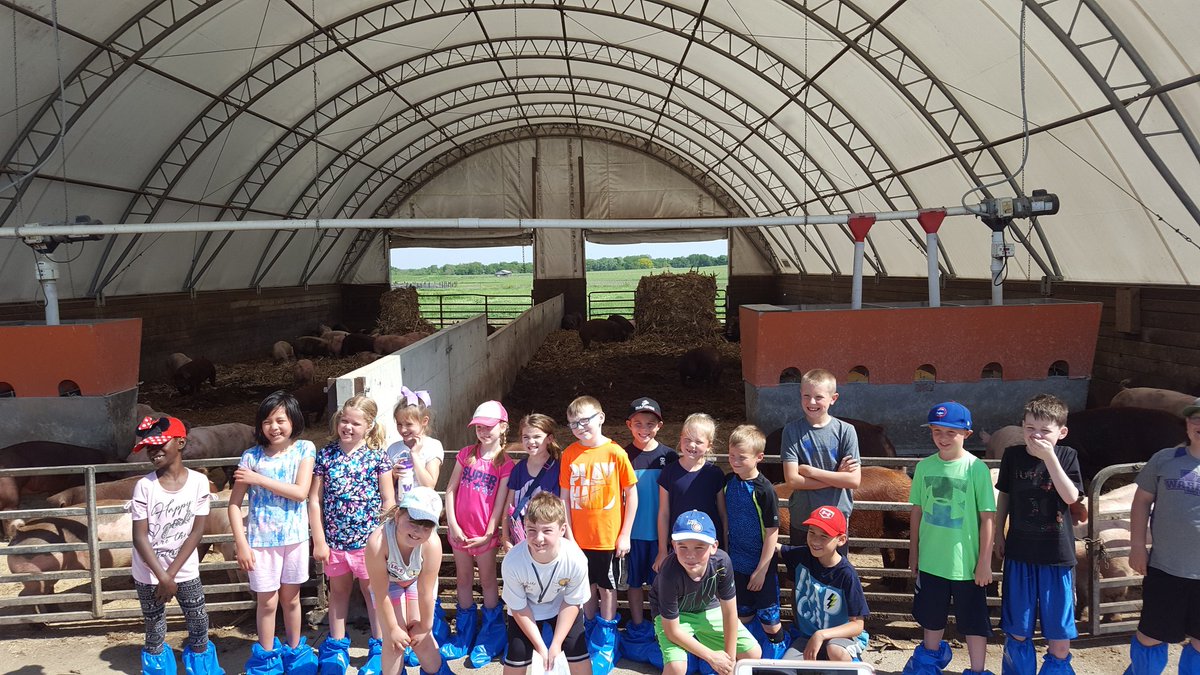 JeffHartwig1's tweet photo. Nearly 300 elementary students and parents visited the @IowaStateU Animal Science teaching farms this week from Walkee and Des Moines. @iastate_cals https://t.co/ntoGM8FiYe