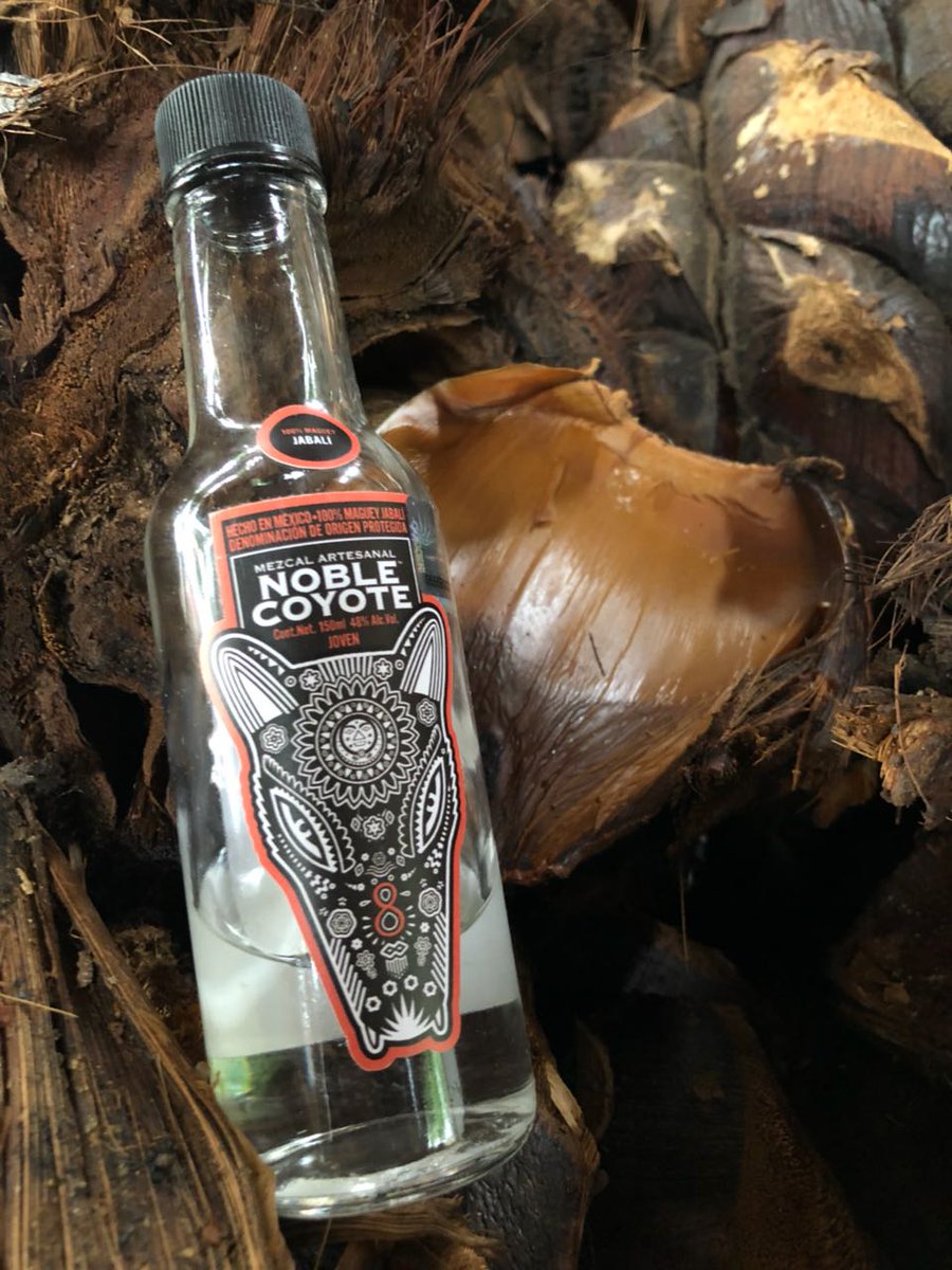 The Jabali agave is a difficult agave to work with, 3 distillations are required to create amazing mezcal
#mezcalnoblecoyote #theagaveexperience #jabali #oaxaca #mezcal #unique