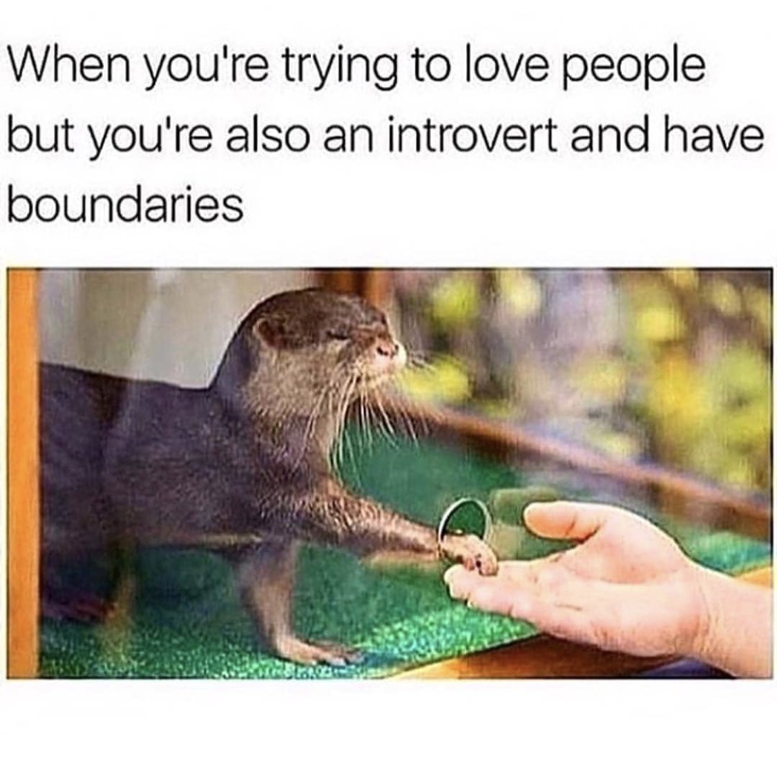 introvertsmemes's tweet photo. If this ain’t me... https://t.co/hVGysgEBlV