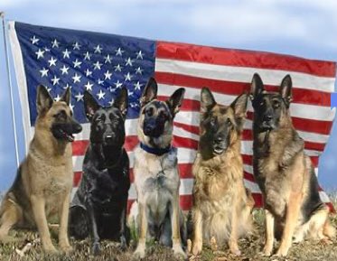 BuddysLine's tweet photo. @BuddysLine wishes to thank our Vets, past and present, for their service! https://t.co/LnfaS3W0Rj
