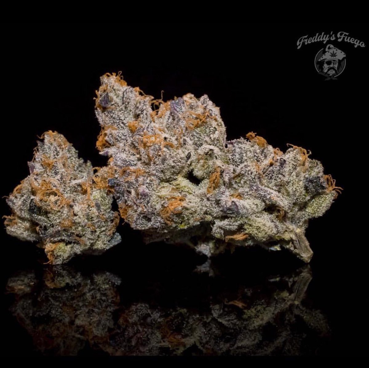 clutchcannabis's tweet image. LA Cookies: smelling so dank and goes well with a holiday weekend.  #freddysfuego #clutchlife