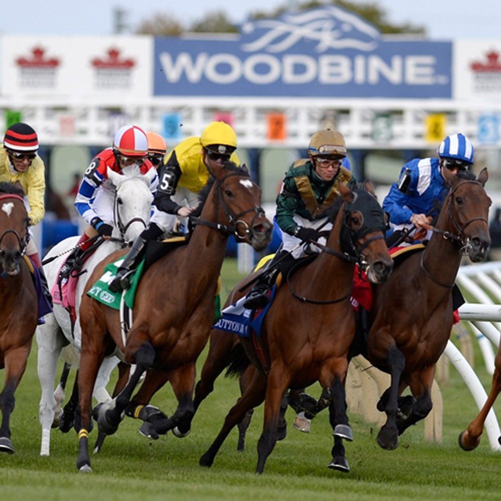 We are pairing with The Fives Hotels &amp; Residences in Playa del Carmen this weekend to provide an exciting opportunity to win a 7-day all inclusive package for 2. In order to win, take a picture at the #GreenwoodStakes with the #ownatthefives and tag @thefivesbeachhotelresidences