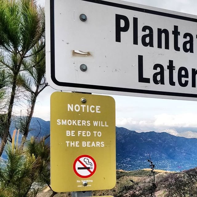 Eric Parren tweet media