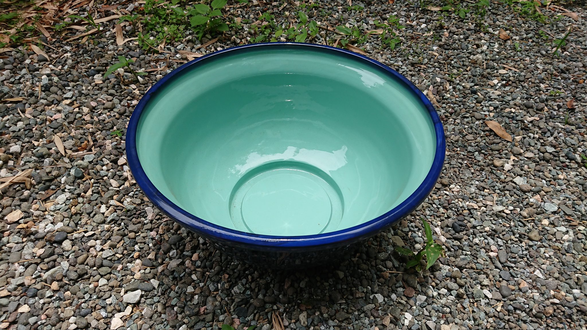 睡蓮 山の家に来る前にカインズ立ち寄り 軽量プラスチックの睡蓮鉢をゲット T Co Lgczodkceu Twitter