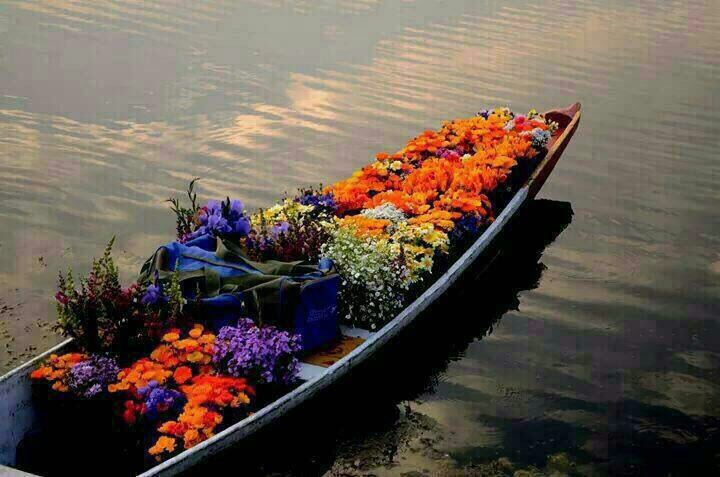 قالها #الشاعر قنوع :
لو ابي غيرك ؟ ترا حولي كثير ,,
بس قلبي مايفزّ لكل عابر 
💭🔇 
#بحر〆