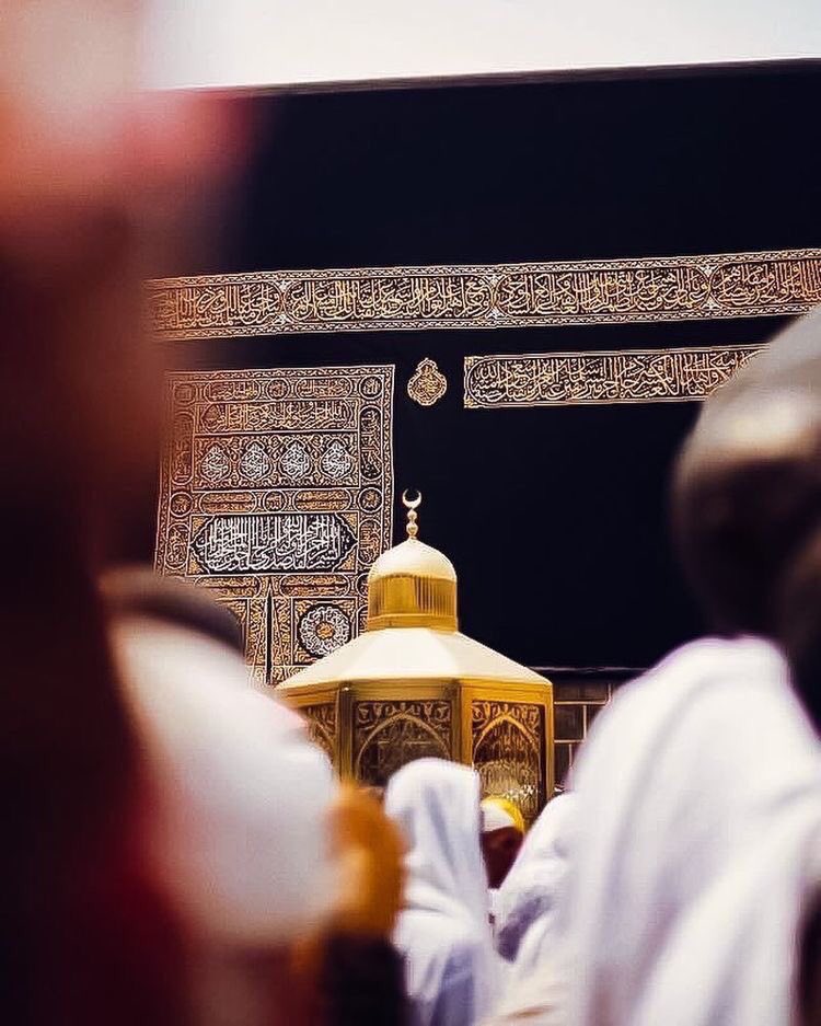 B___7h's tweet photo. يا ليتني في رُباكِ حمامٌ طاهر، كُلما اشتاق قلبه رف الجناح وارتوى 💛..
#سناب_شات https://t.co/brF9JL9fmE