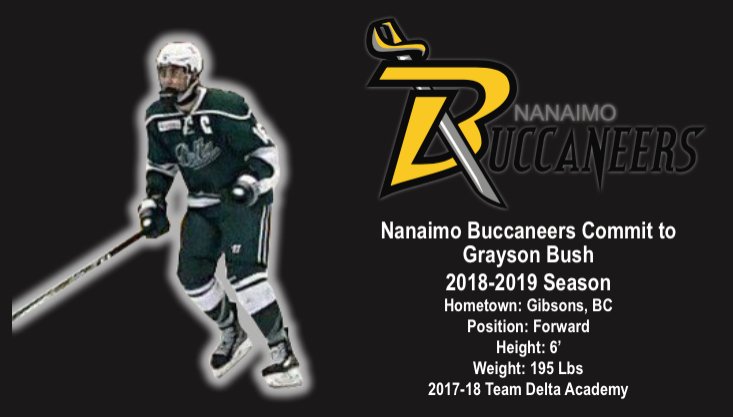 BuccaneersVIJHL's tweet photo. COMMITMENT: Buccaneers commit 2000 FWD Grayson Bush. 
“I consider myself a good leader and I come to work hard everyday on and off the ice, I will bring a great compete level and work ethic to the buccaneers.” For more info please refer to our teams Facebook and Instagram. https://t.co/CtLN7VN0ap
