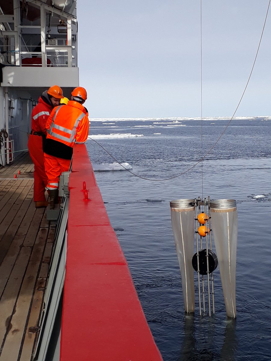 louiza_norman's tweet image. Elliott Price, King of the Bongos!! Getting the Bongo nets ready to catch him some zooplankton. It's all about the copepods! @project_ARISE #DIAPOD @NERC_CAO @livunioceansci #UKinArctic