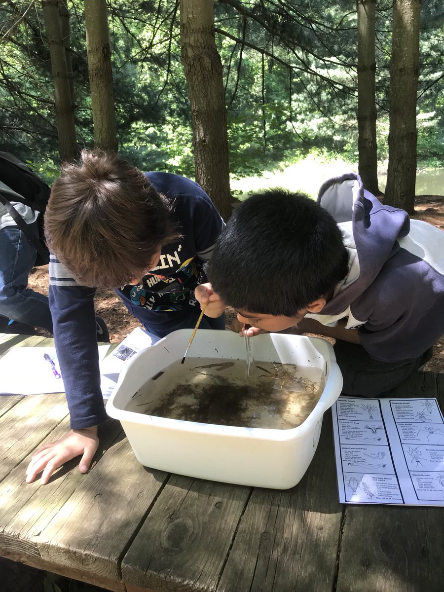 MrsB483's tweet photo. Annnd that’s a wrap! 3 eye dissections, a trip to the #aquarium, and two trips to the #Audubon. All in the week of a STEM Specialist @MPS_Verplanck @mpspride 👁🦉🐋🌳🐢🐧🙋🏻‍♀️ https://t.co/N9koZ9SDmb