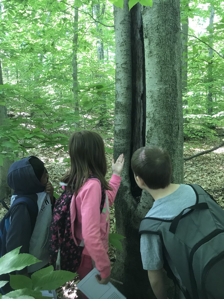 Annnd that’s a wrap! 3 eye dissections, a trip to the #aquarium, and two trips to the #Audubon. All in the week of a STEM Specialist <a href="/MPS_Verplanck/">Verplanck Elementary</a> <a href="/mpspride/">Manchester Schools</a> 👁🦉🐋🌳🐢🐧🙋🏻‍♀️