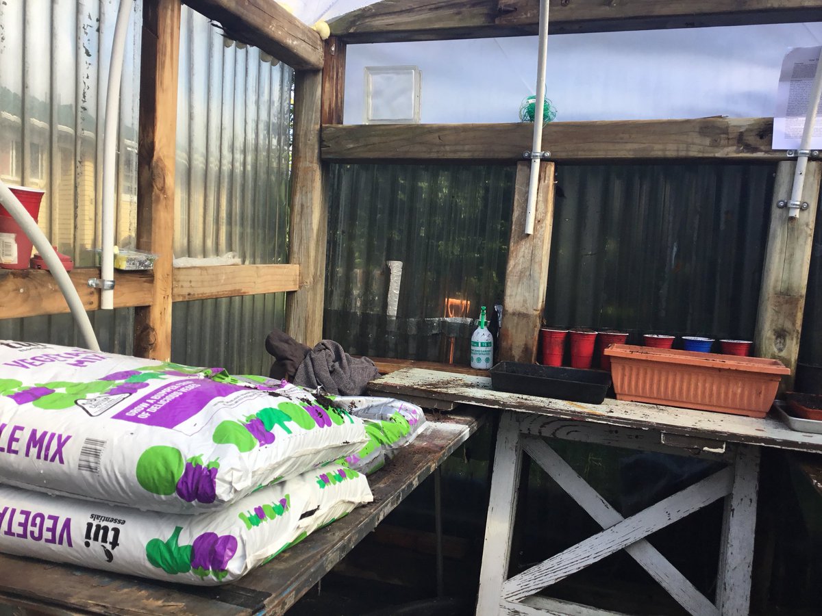 tauhenare's tweet photo. #Tobacco seeds planted, 1st wave of #VirginiaGold https://t.co/uUIc8MGaSL