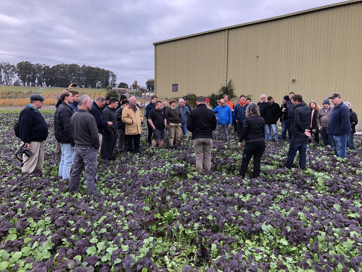 Talking orchard fumigation with @Serve_Ag at <a href="/brettapples/">Brett Squibb</a> - topic bringing strong grower interest. Pest and insect free. #FGT2018